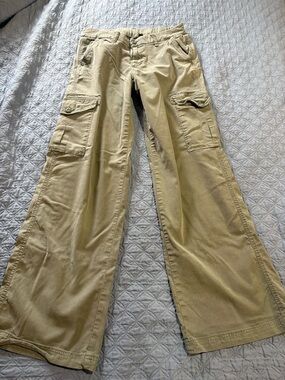 American Eagle Outfitters Olive-Tan Wide Leg Cargo Pants